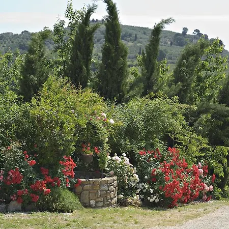 La Buca Di Montauto *
