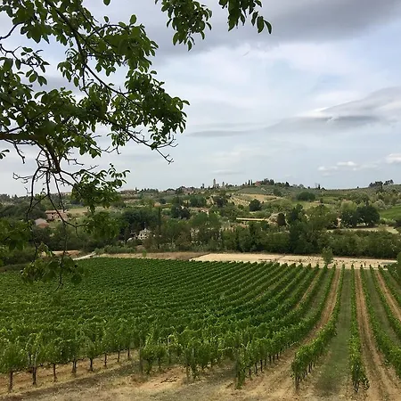 La Buca Di Montauto Farm stay